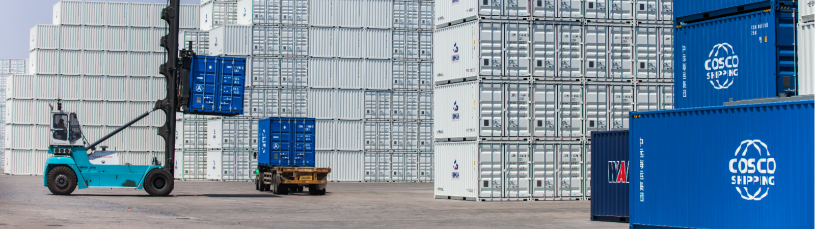 company-profiles.jpg company-profiles.jpg